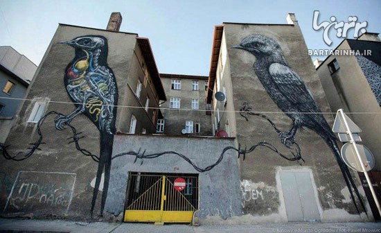 نقاشی های خیابانی زیبا و خلاقانه (2)
