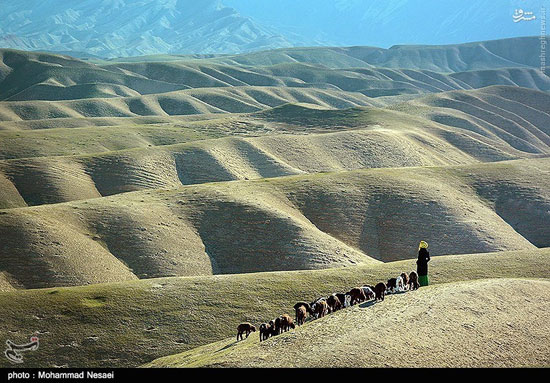 عکس: اینجا صحرای ترکمن است