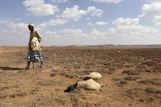 عکس: خشکسالی در آفریقا