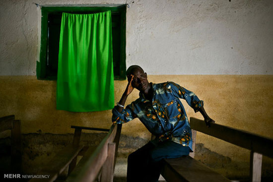 عکس: زادگاه اولیه ویروس ابولا