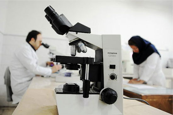 ۵۳ دانشگاه ایران در بین موثرترین‌ مراکز علمی دنیا