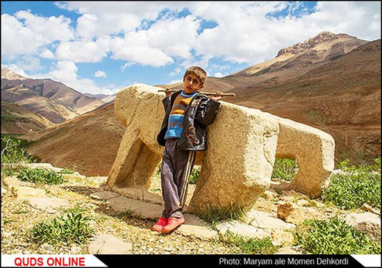 شیر در قبرستان/گزارش تصویری