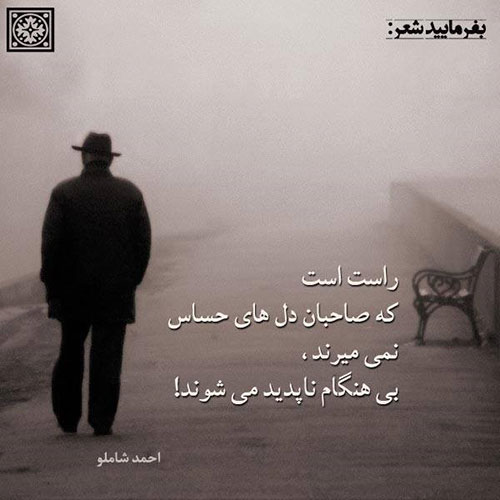 مینی شعر (171)