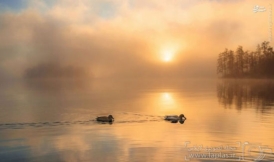 طلوع جادویی آفتاب در دریاچه بلد +عکس