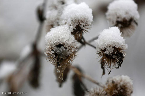 عکس: صدای پای زمستان در سرتاسر دنیا