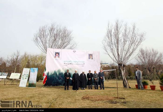 عکس: غرس یک اصله نهال توسط روحانی