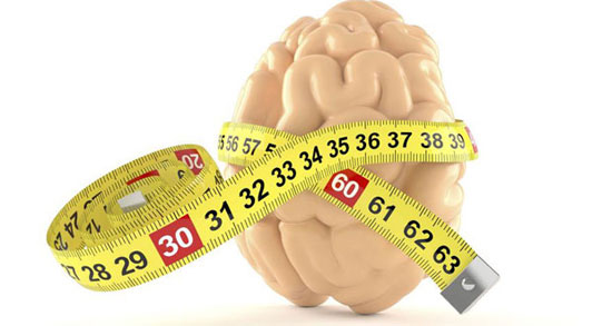رابطه بین اندازه مغز و بهره هوشی