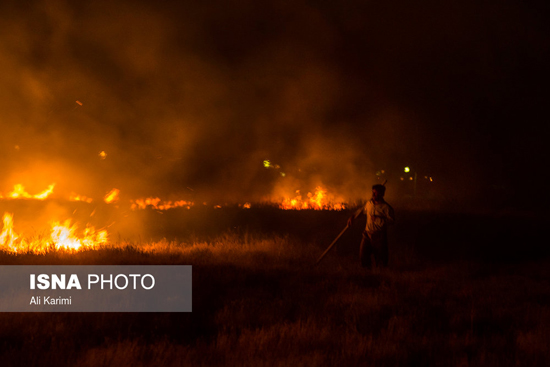 آتش سوزی مزارع کشاورزی در اراک