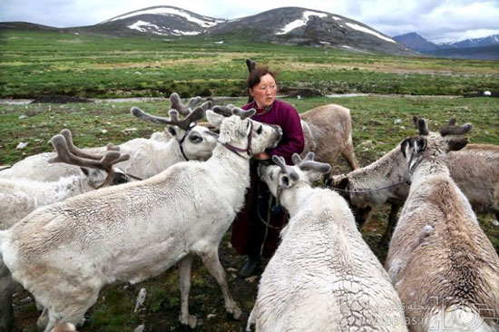 عکس: ملاقات با عشایر ساتان در مغولستان