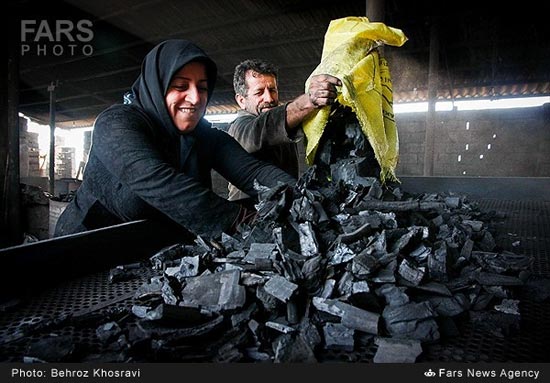 تصاویر: کارگاه تهیه ذغال