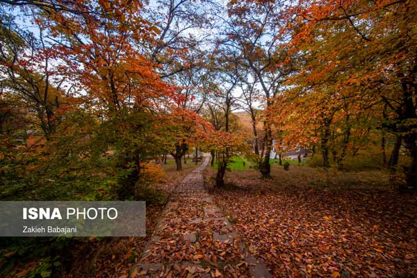 تصاویر؛ ایران زیباست، پارک جنگلی ساری