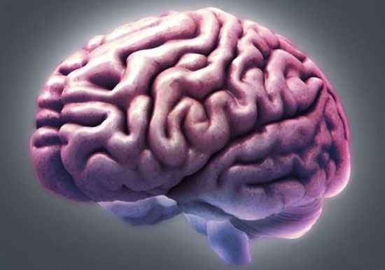 شش باور نادرست درباره مغز