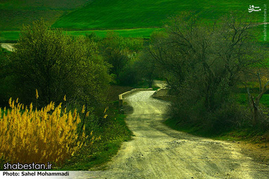 طبیعت محشر کردستان