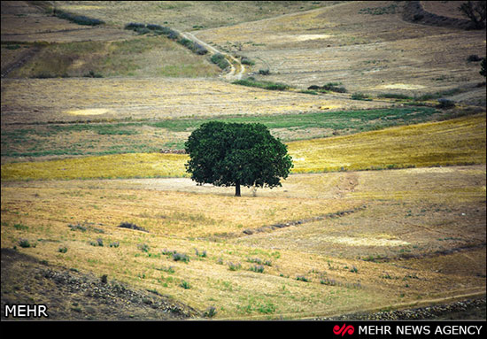 طبیعت جاده های شمال