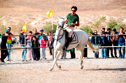 عکس: همایش زیبایی اسب در اراک