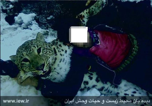 صدور حکم عامل کشتار دلخراش پلنگ ایرانی