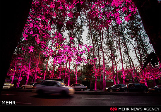 خیابان ولیعصر(عج) غرق نور +عکس