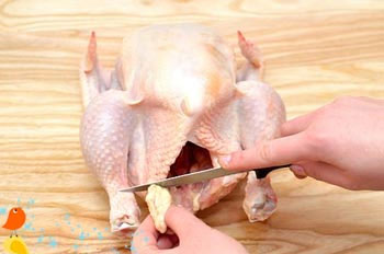 آموزش تصویری خرد کردن مرغ