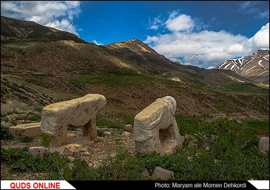 شیر در قبرستان های ایران +عکس