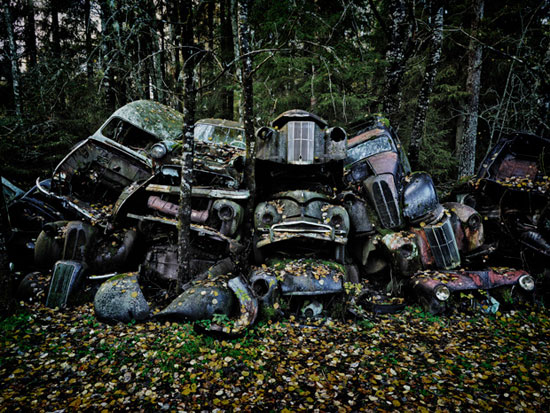 قبرستان جنگلی اتومبیل‌ ها +عکس