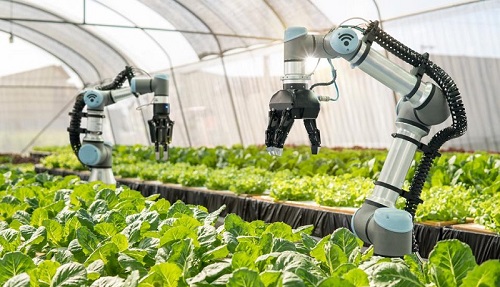 ربات‌ها و هوش مصنوعی؛ کشاورزان متفاوت آینده!