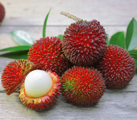 میوه‌های عجیب و هیجان انگیز آسیا را بشناسید!