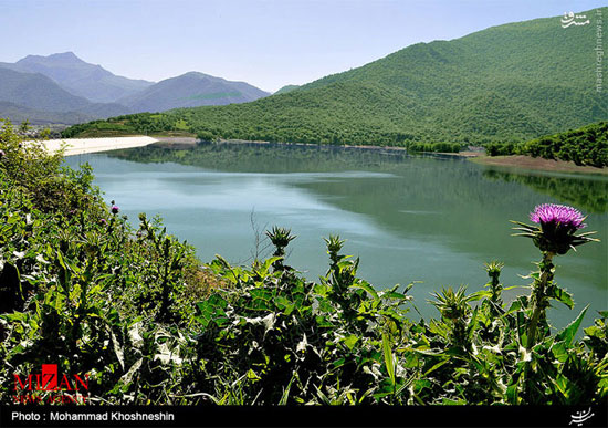 عکس: طبیعت آرامش بخش شمال ایران