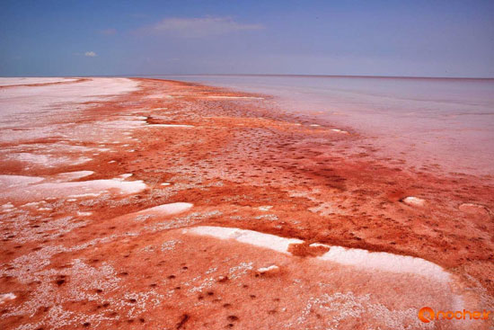 سرخ شدن دریاچه‌ نمک در ترکیه +عکس