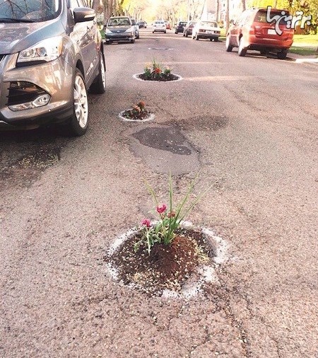 تبدیل چاله ها و ترک های خیابان به گلدان