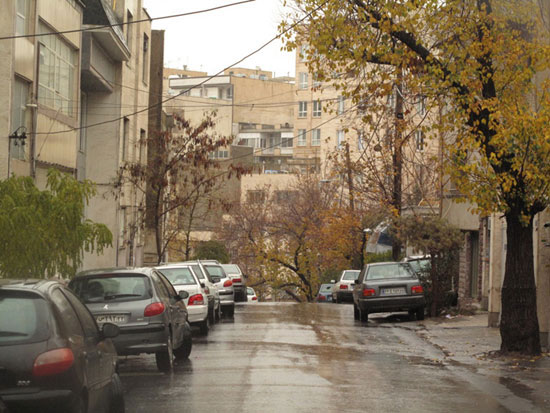 عکس: آخرین روزهای پاییز تهران