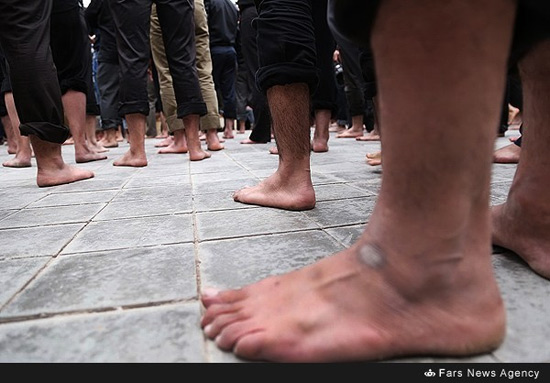 عکس: مراسم نخل برداری عاشورا در یزد