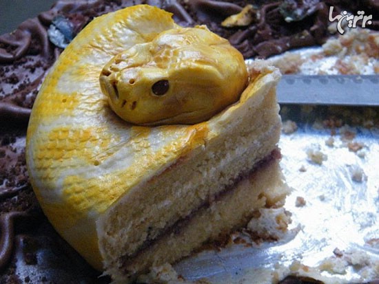 دلتان می‌آید این کیک ها را بخورید؟! +عکس
