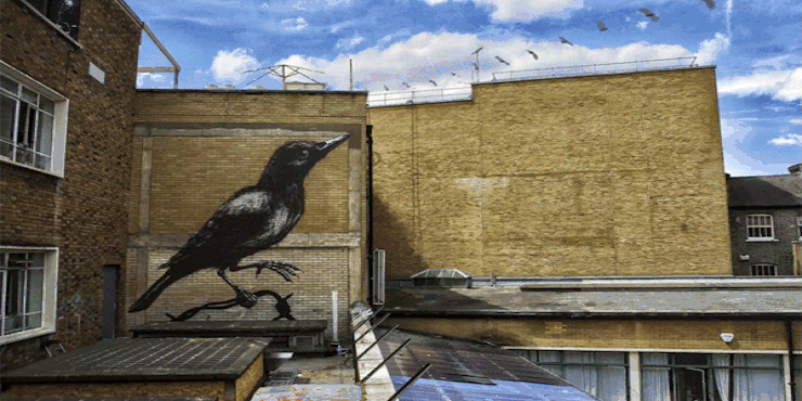 تبدیل گرافیتی های شهری به تصاویر متحرک