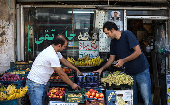 رام کردن میوه وحشی در ایران