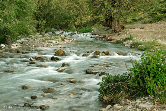 طبیعت منطقه کوه گل