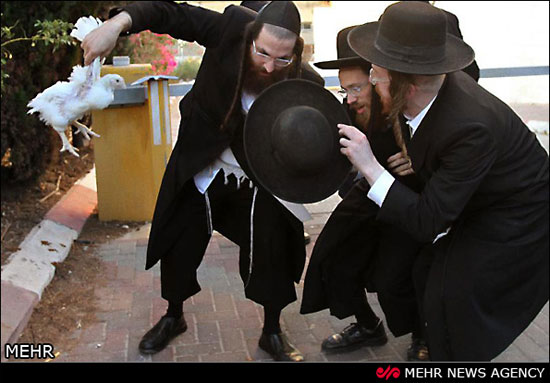 مراسم عجیب یهودیان افراطی‎ +عکس