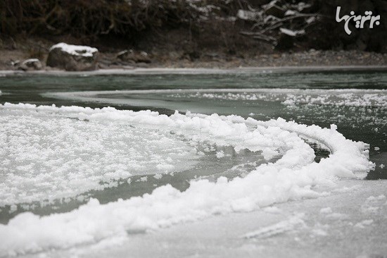 دایره یخی طبیعی و عجیب در رودخانه واشنگتن