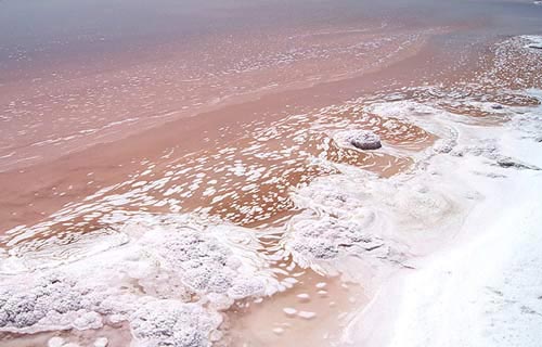 جزییات تصمیم جدید درباره دریاچه ارومیه