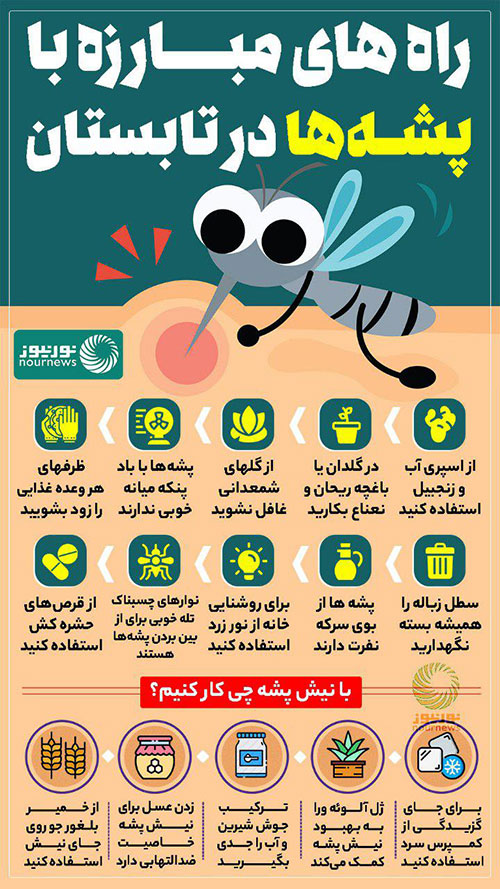 چگونه در تابستان از شر پشه‌ها راحت شویم؟