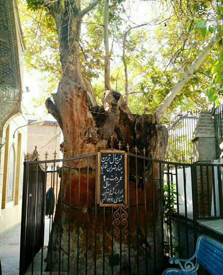 محله‌ی امامزاده یحیی؛ محله‌ی پُررمزوراز تهران