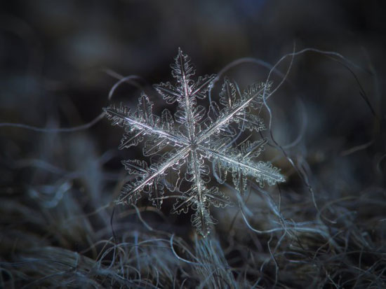 عکاسی شگفت‌انگیز از دانه‌ های برف