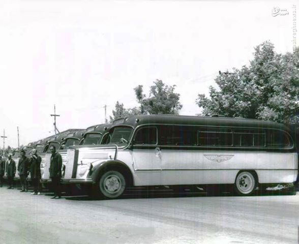 اولین اتوبوس‌های شرکت واحد +عکس
