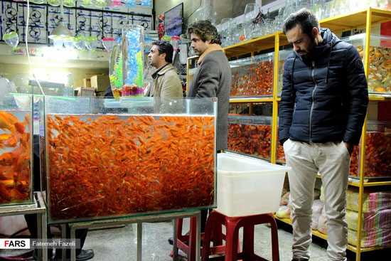 بازار فروش ماهی قرمز سفره هفت سین