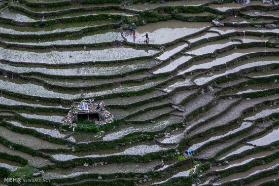 دره ای زیبا و دورافتاده در نپال +عکس