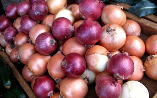 طرز تهیه کوبیده مرغ خانگی با روشی آسان