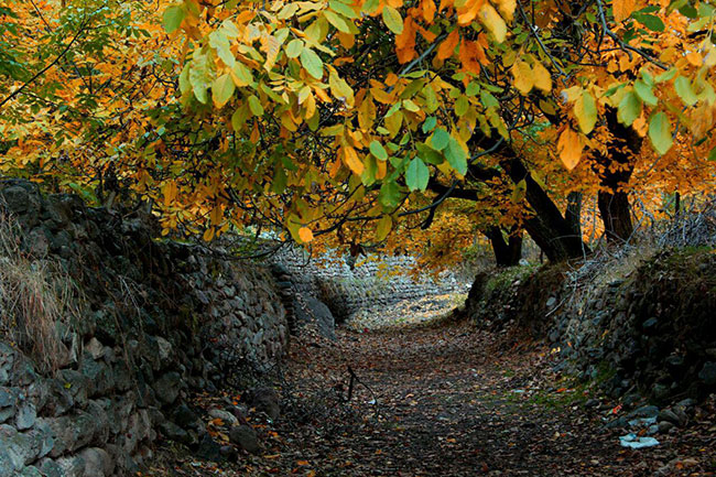 ایرانِ زیبای ما (8)