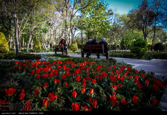 عکس: بوستان زیبای «باغ ایرانی»