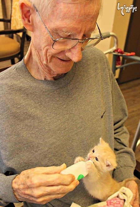 همکاری پناهگاه حیوانات با خانه سالمندان