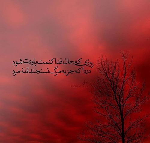 مینی شعر (171)