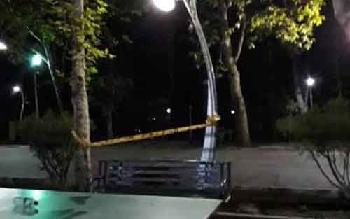 مظنونان حادثه پارک لاله تهران بازداشت شدند